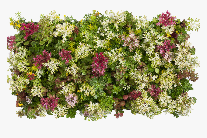 Green Color Splash Png , Png Download, Transparent Png