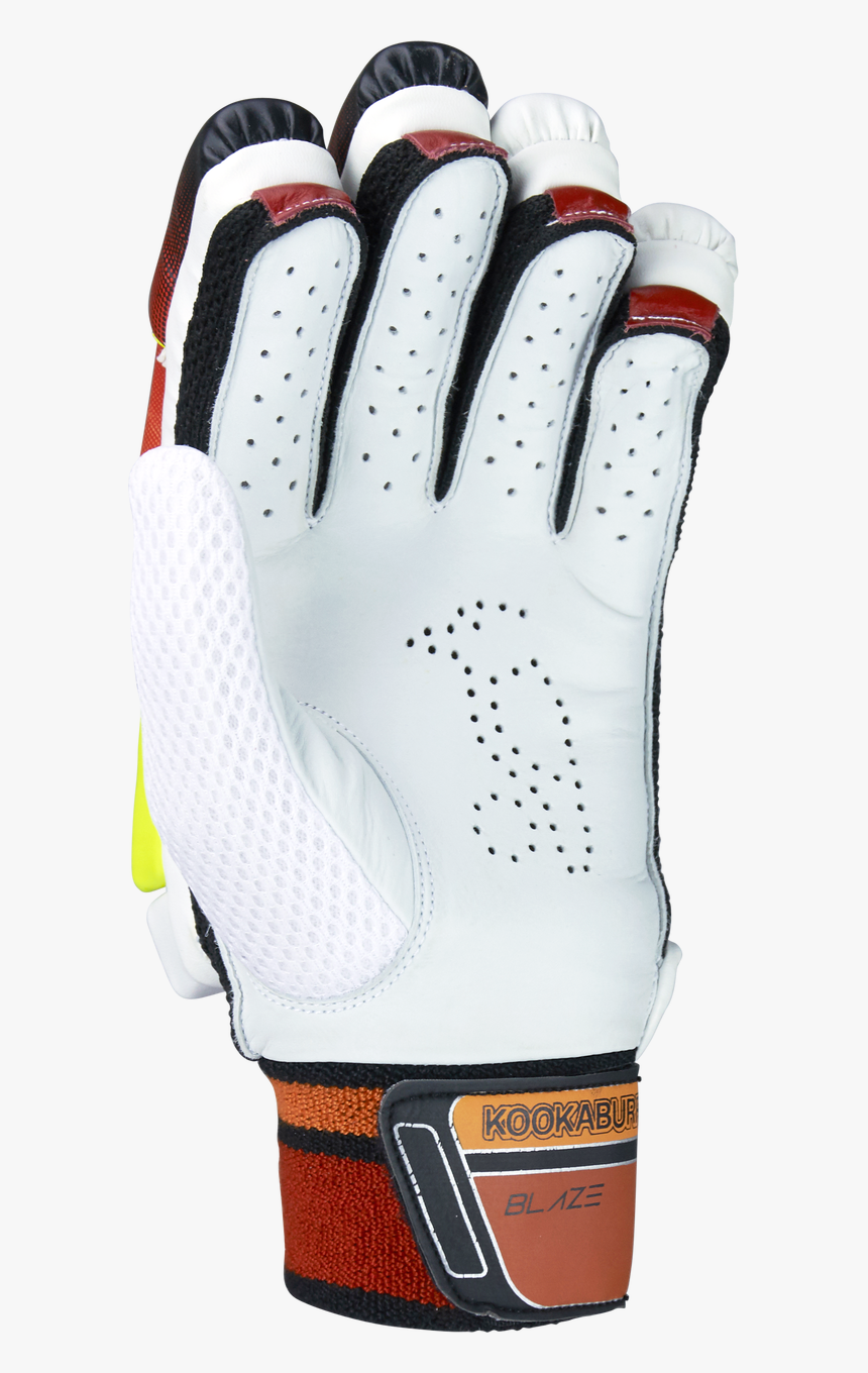 Cricket Sport Equipment Png, Transparent Png