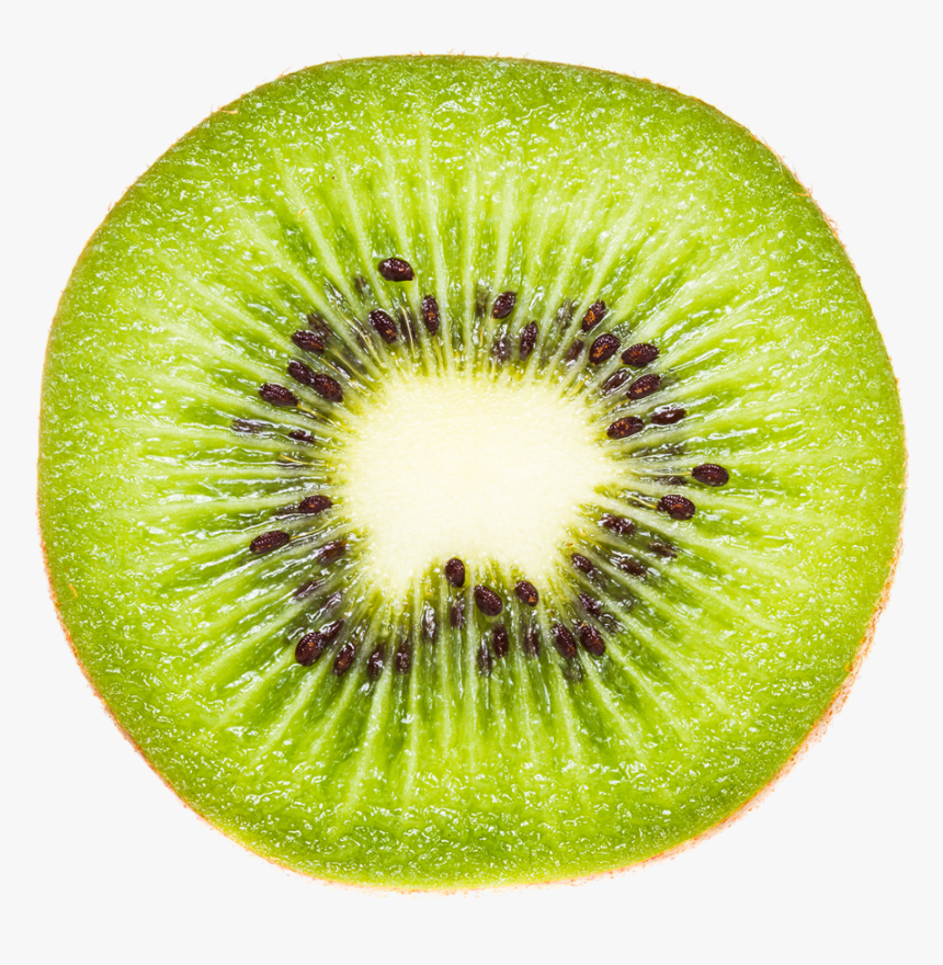 Kiwifruit Actinidia Deliciosa Hardy Kiwi Vegetable - Rondelle Kiwi Png, Transparent Png
