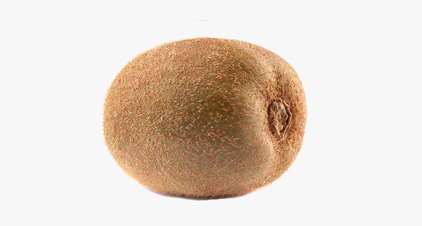 Киви Пнг, HD Png Download