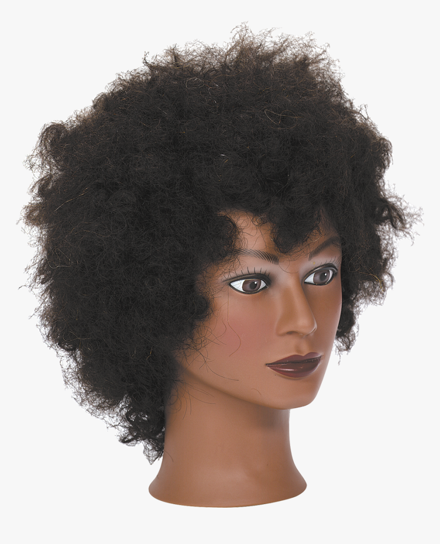 Transparent Manikin Png - Afro Wig On Manican, Png Download