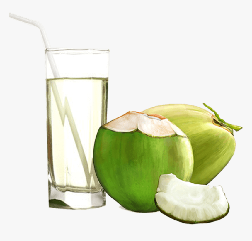 Coconut Water Png, Transparent Png