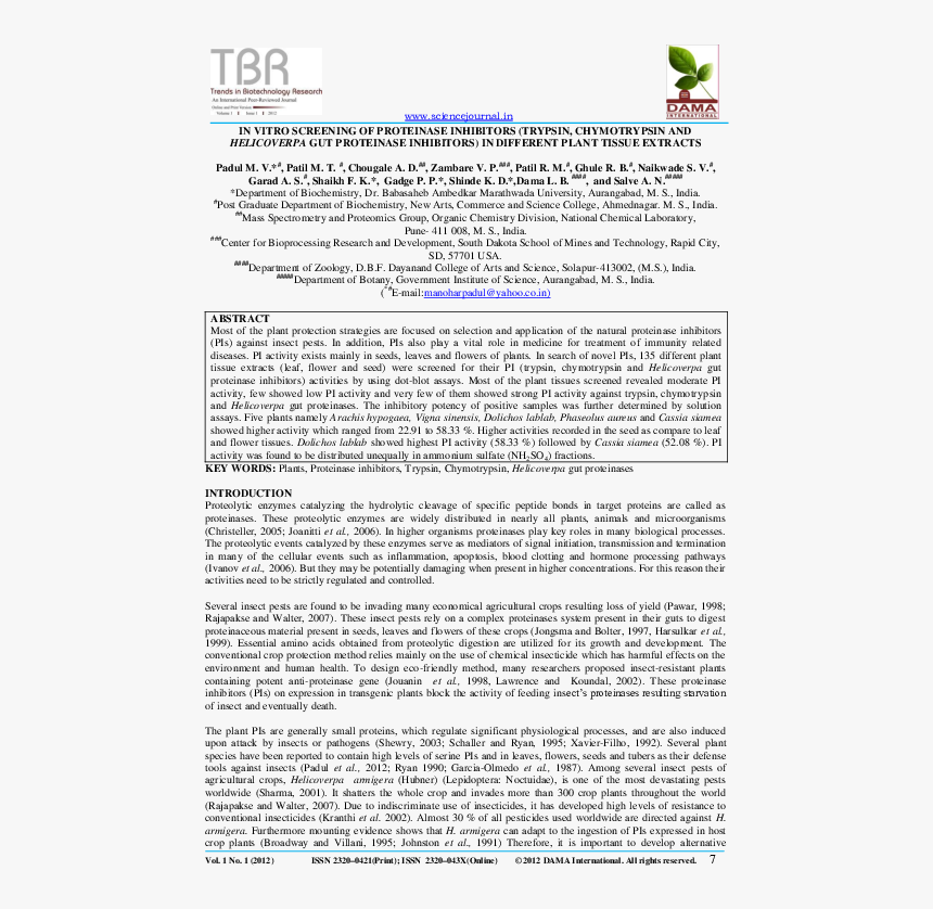 Document, HD Png Download
