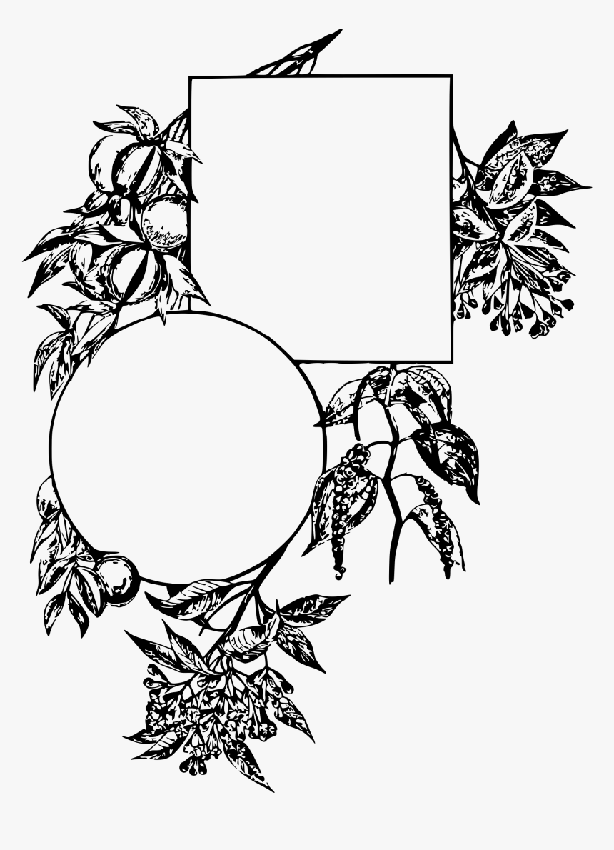 Art,monochrome Photography,artwork - Spices Clipart Png Black And White, Transparent Png