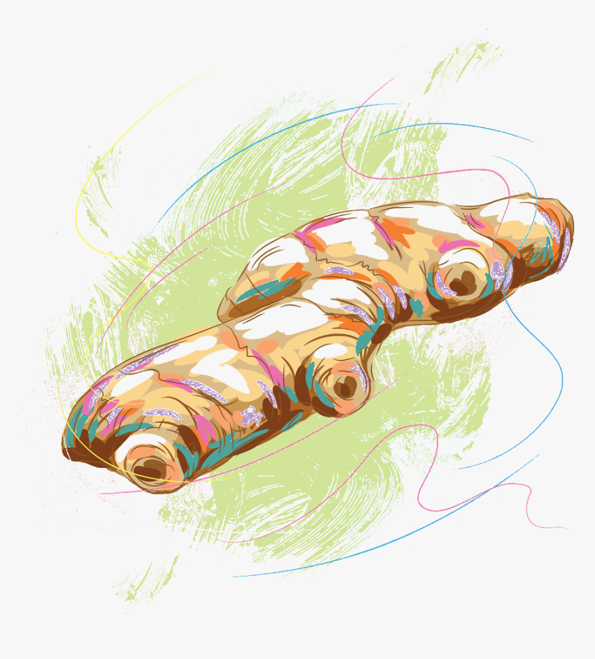 Hd Library Download Illustration - Illustration, HD Png Download
