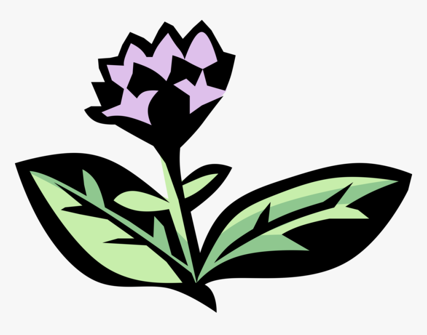 Oregano Aromatic Spice Image, HD Png Download