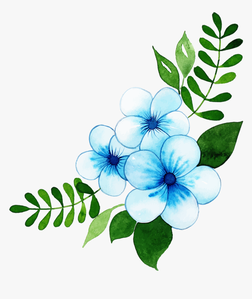 Rosa Glauca, HD Png Download