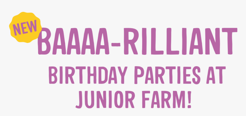 Erin Wasson Zadig Et Voltaire, HD Png Download