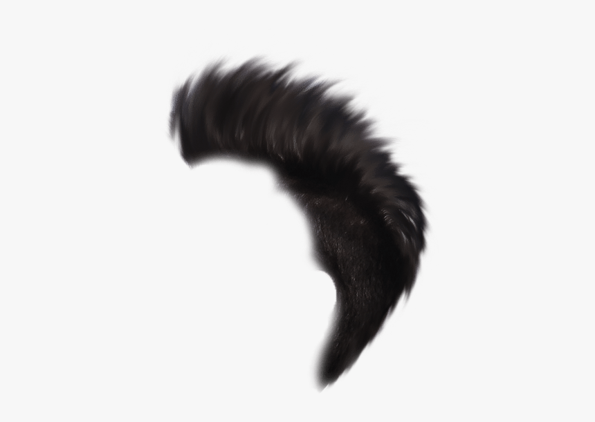 Heartless Editing Png - Millipedes, Transparent Png