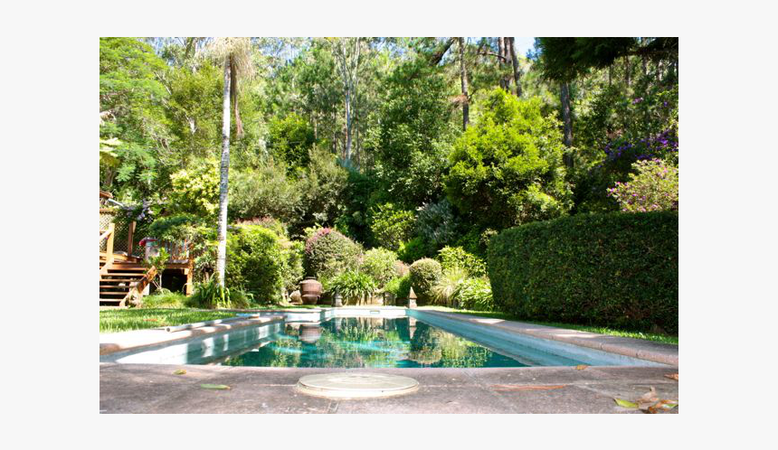 Beautiful Old Wooden House In Tropical Setting - Roystonea, HD Png Download