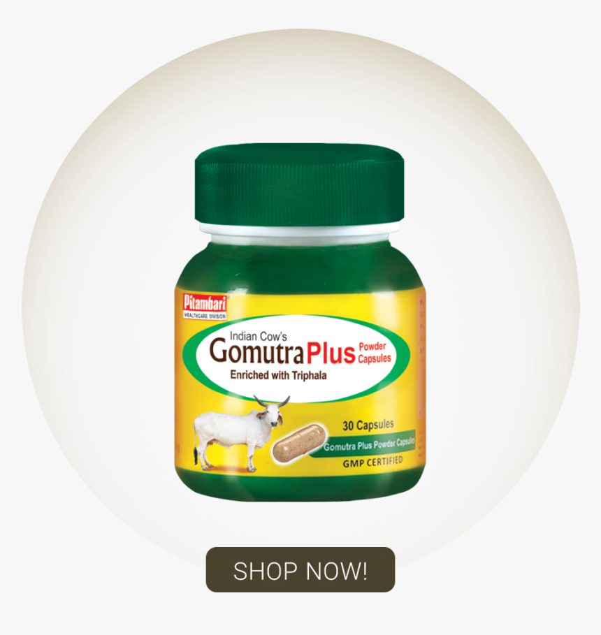 Indian Cow Images Png, Transparent Png