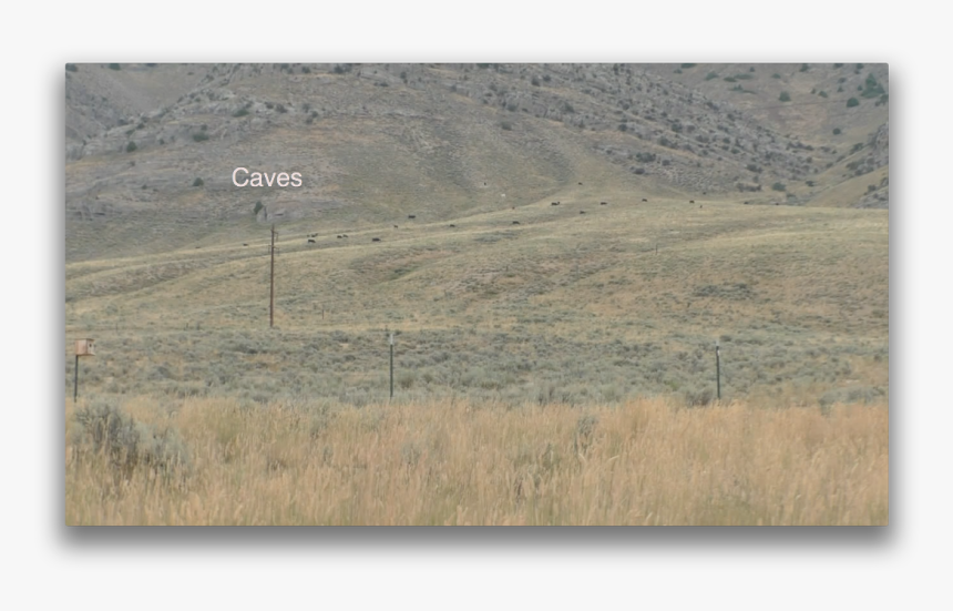 Picture - Grassland, HD Png Download