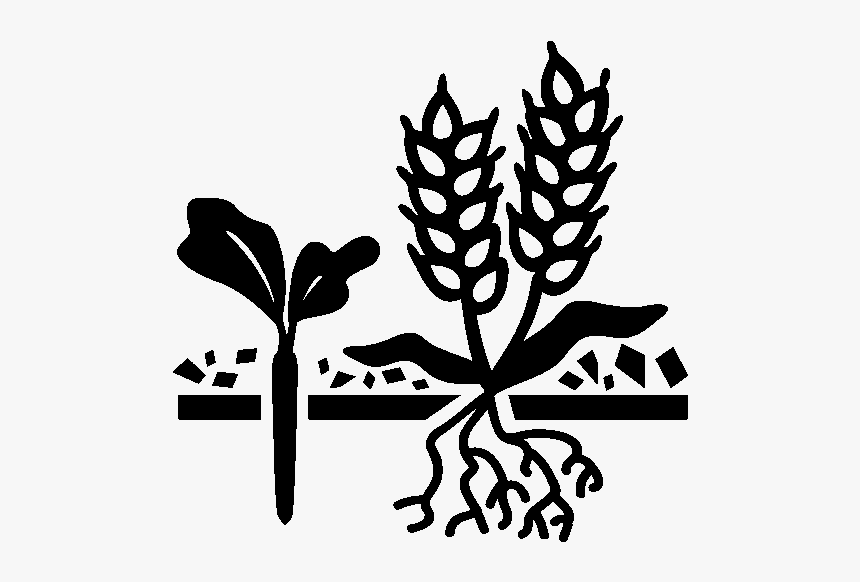 Cover Crops Icon - Cash Crops Black And White, HD Png Download