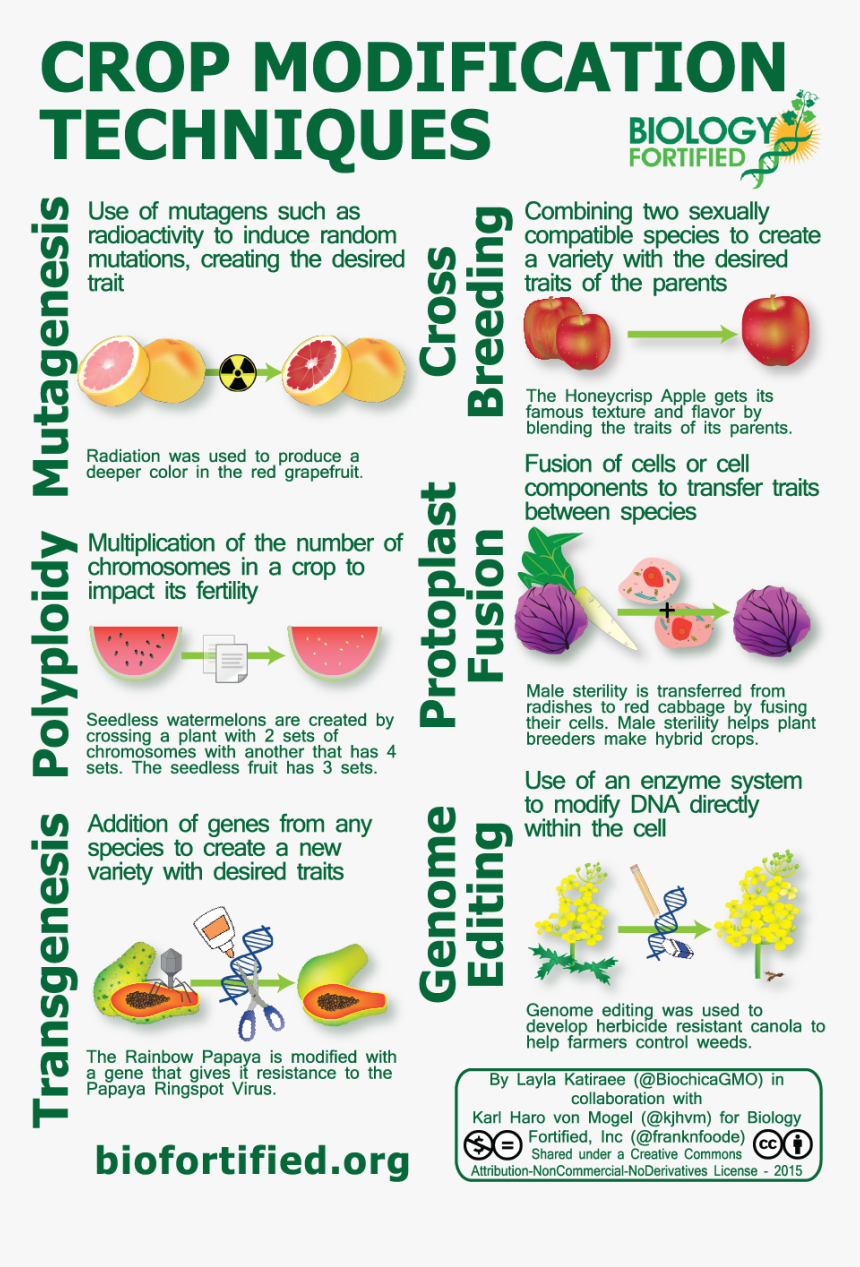 Fondation Marcelle Et Jean Coutu, HD Png Download