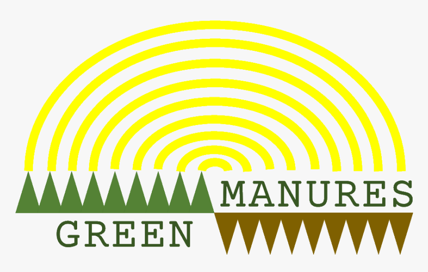 Graphic Design, HD Png Download