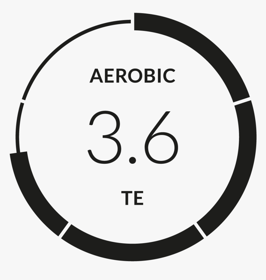 Training Effect - Aerobic - Firstbeat Feature - Catalogue Management In Ecommerce, HD Png Download