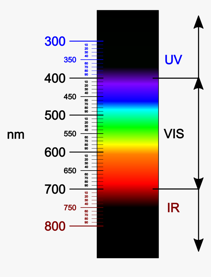 Closest Light Outside The Visible Spectrum, HD Png Download