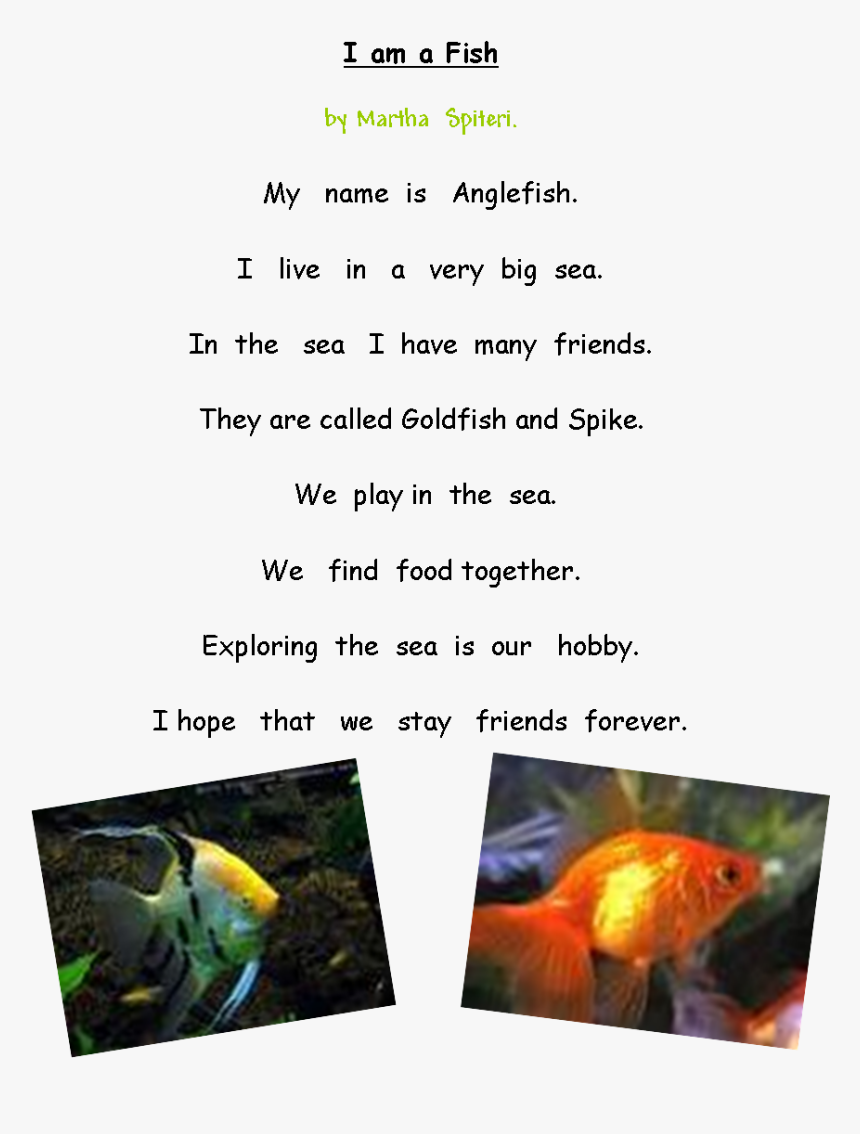 Transparent School Of Fish Png - Marine Biology, Png Download