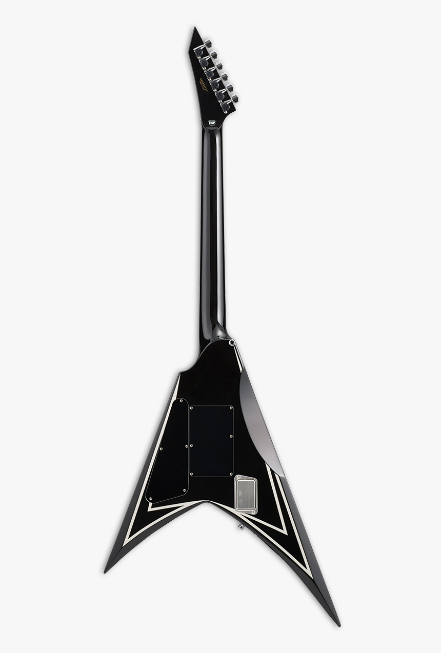 Paddle, HD Png Download