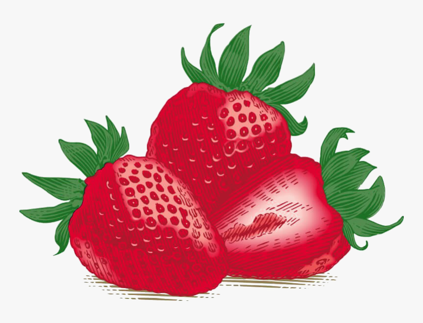 Single Strawberry Download Free Png - Burt's Bees, Inc., Transparent Png