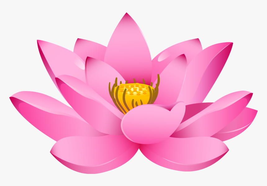 Lotus Flower Png - Lotus Png Hd, Transparent Png