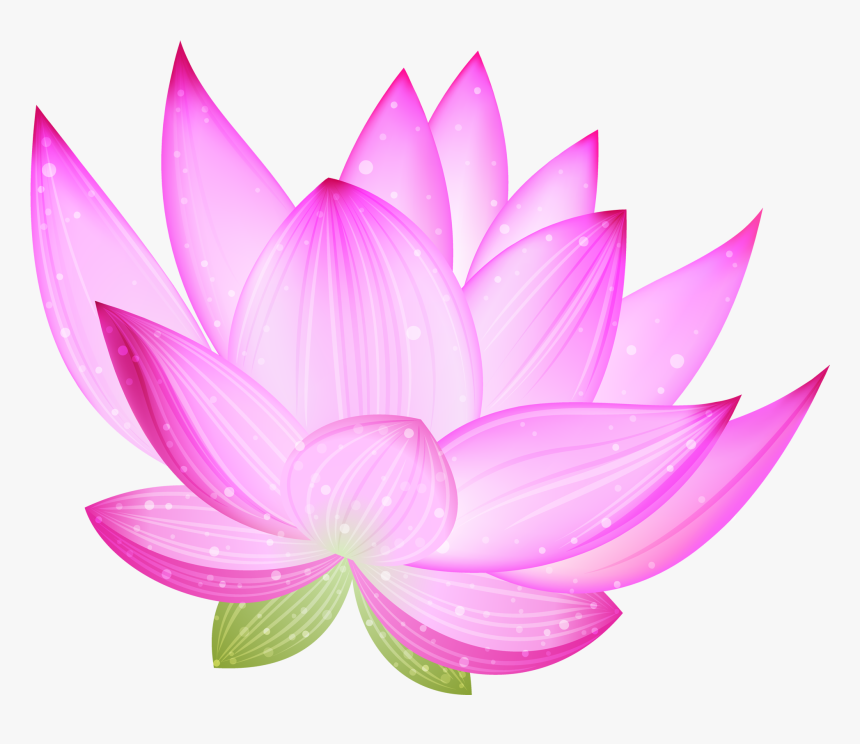 Large Pink Lotus Png Clipart - Blog, Transparent Png