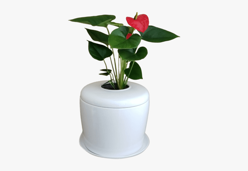 Flowerpot, HD Png Download