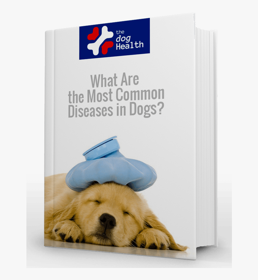 Most Common Diseases In Dogs - Tom And Jerry Sick, HD Png Download