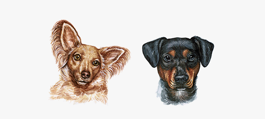 Dog Watercolor Painting - Cabeza De Perro Png, Transparent Png