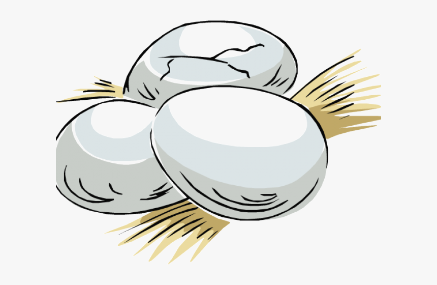 Lizard Egg Clipart, HD Png Download