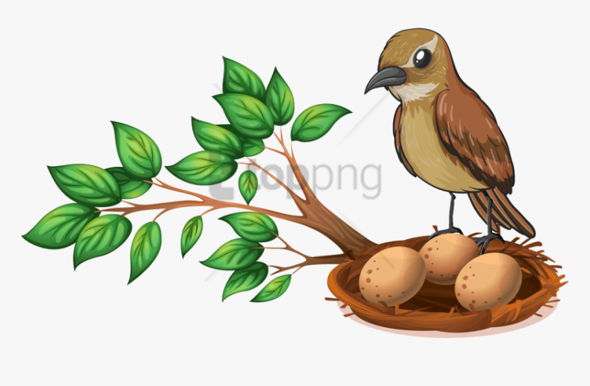 Free Png Download Bird Nest On Tree Png Images Background - Bird Nest In Tree Clipart, Transparent Png