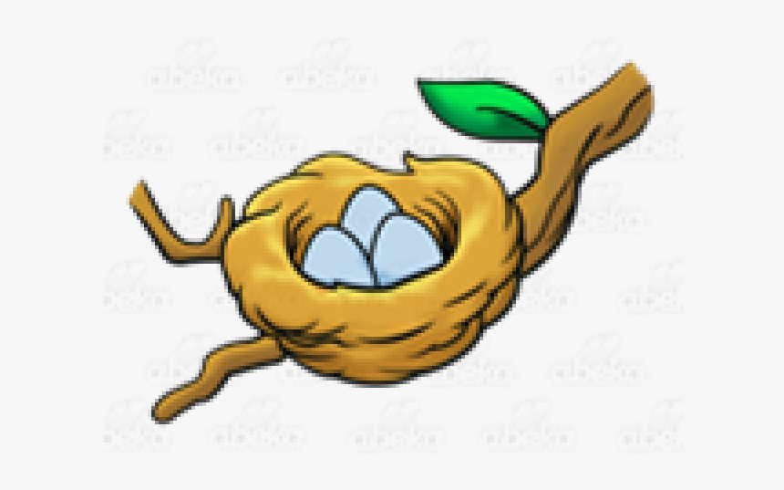 Bird Nest Clip Art, HD Png Download , Transparent Png Image PNGitem