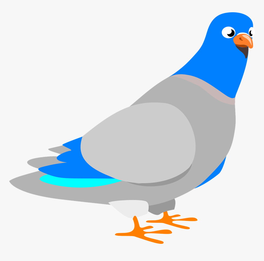 Pigeon Clip Art, HD Png Download