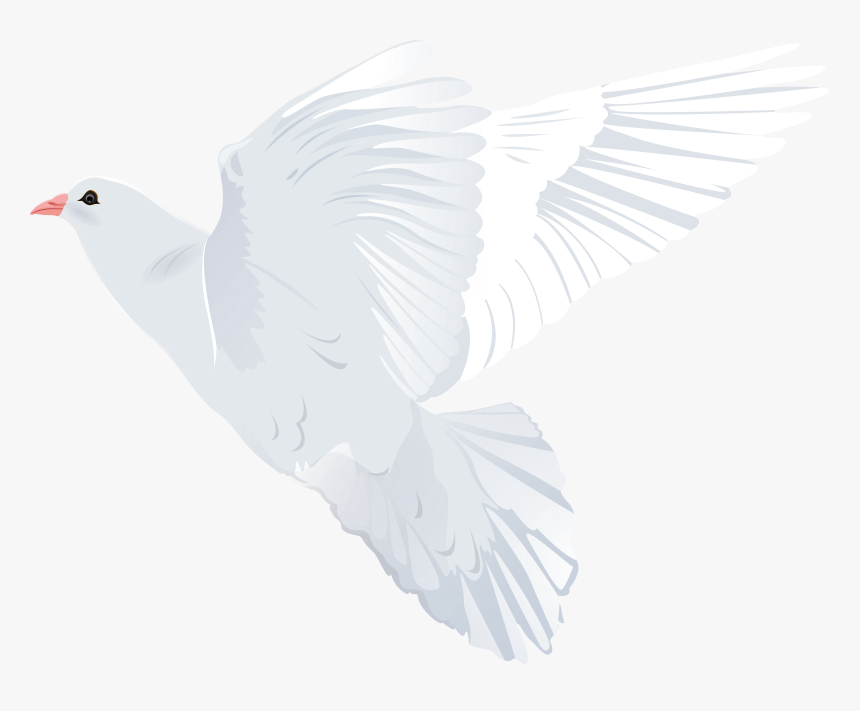 Clip Art Transparent Clip Art Image, HD Png Download