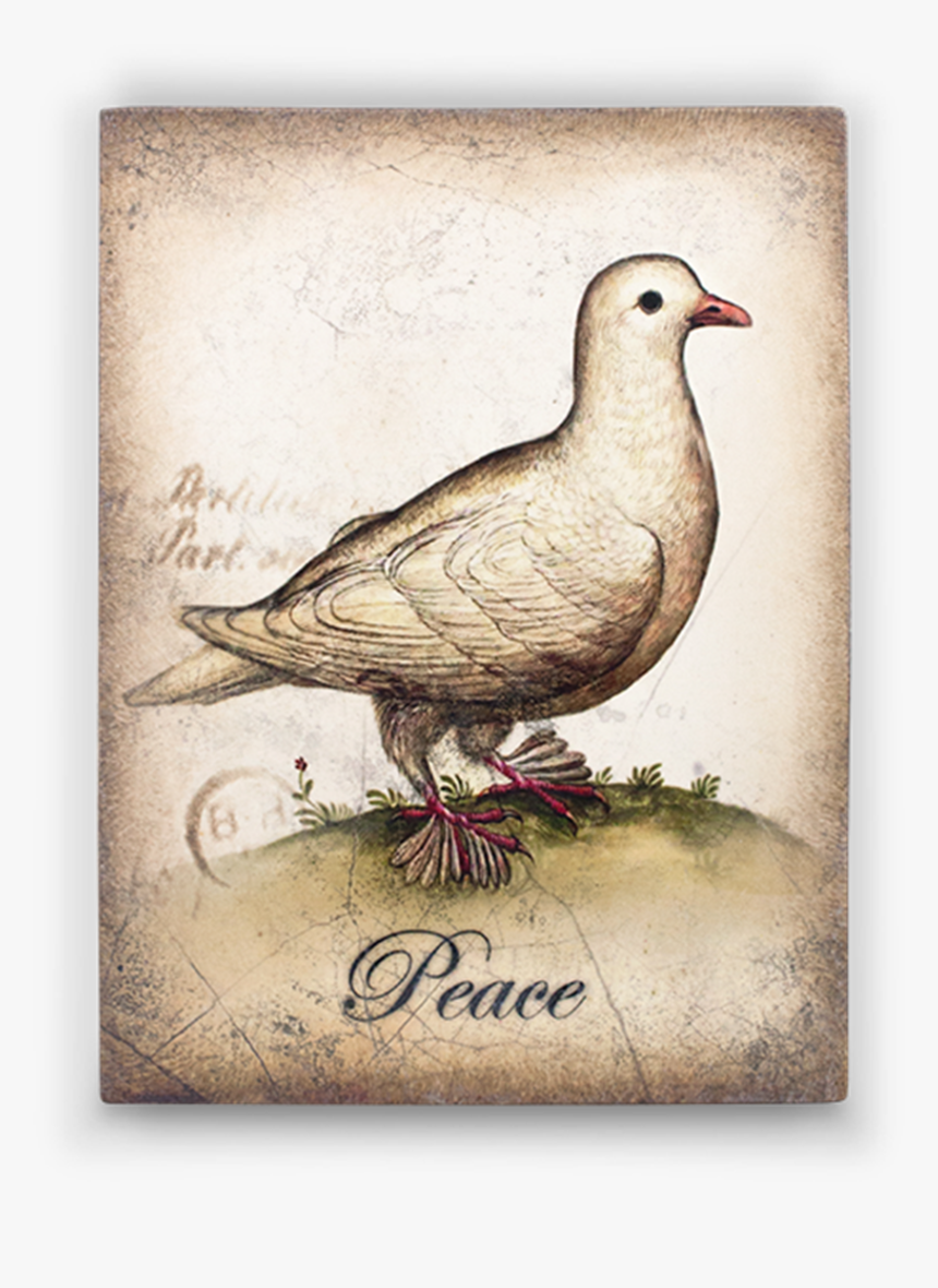 Sid Dickens Dove, HD Png Download