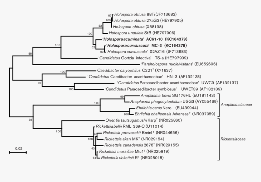 Document, HD Png Download