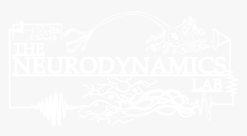 Logo - Graphic Design, HD Png Download