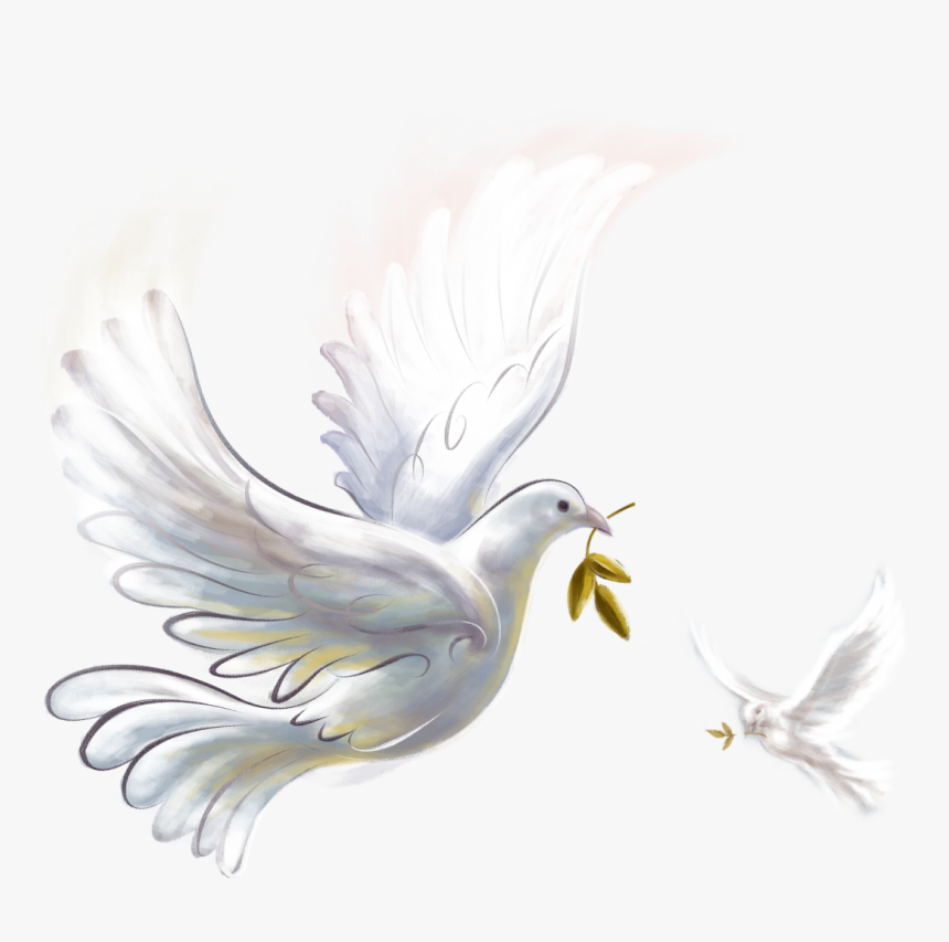 Pigeon Png - Peace Dove, Transparent Png