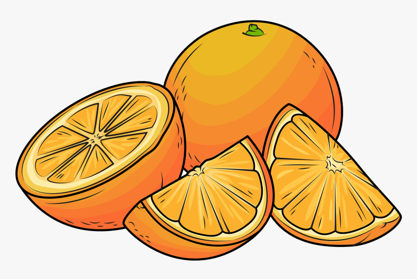 Oranges Vector, HD Png Download