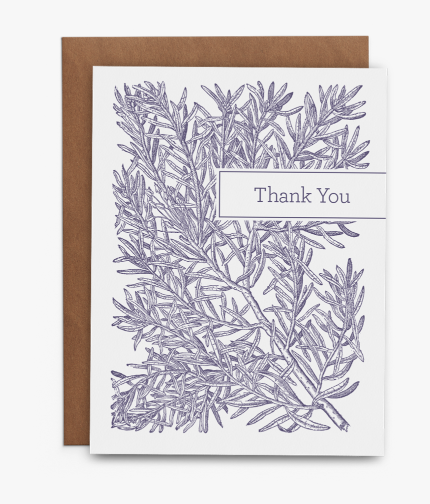 Rosemary Thank You - Paper, HD Png Download
