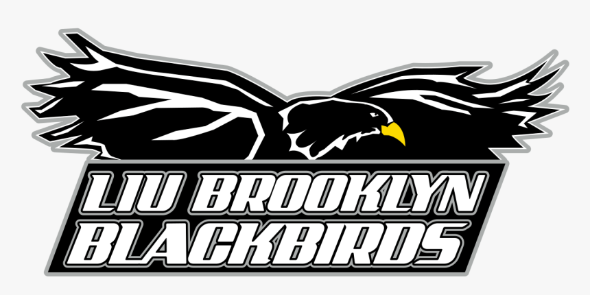 Liu Brooklyn Pulls Out Of Tri-meet With Rutgers, Brown - Liu Brooklyn Blackbirds Logo, HD Png Download