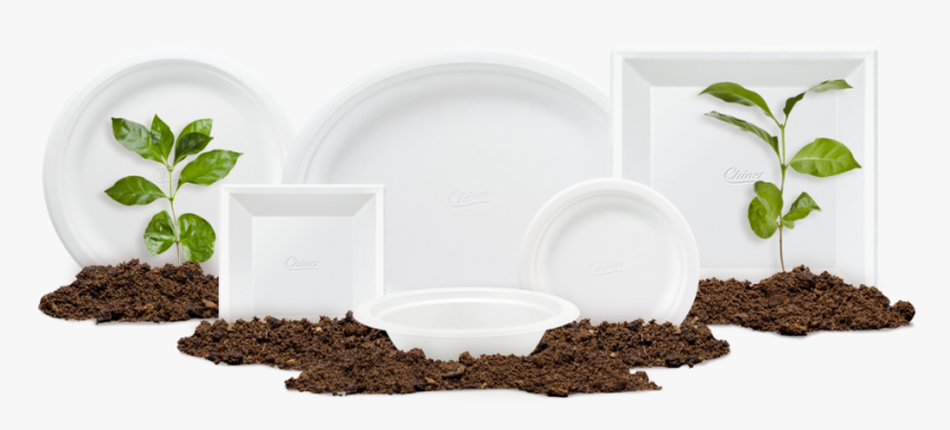 Grass, HD Png Download