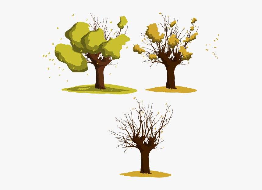 Wattles Tree Euclidean Vector - Euclidean Vector, HD Png Download