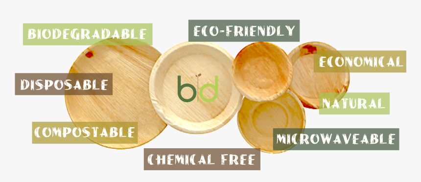 Pics-02 - Plywood, HD Png Download