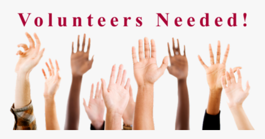 Volunteers To Represent A - Questions Student, HD Png Download