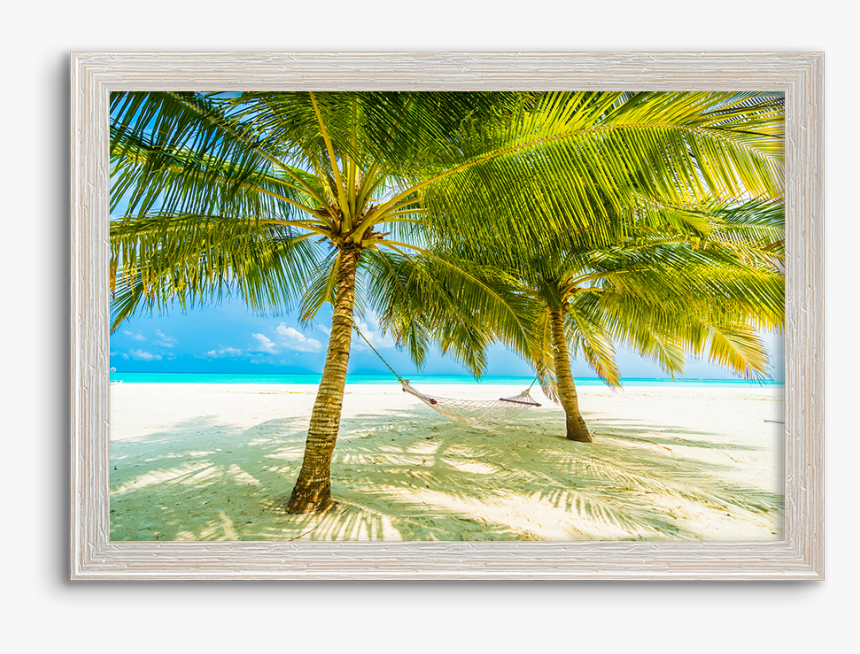 Hammock, HD Png Download