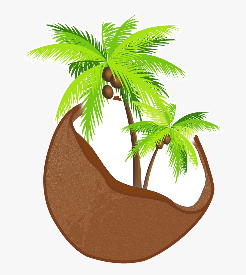 Previous Item Depositphotos 7197997 L Next Item Southeastern - Transparent Background Coconut Tree Png, Png Download