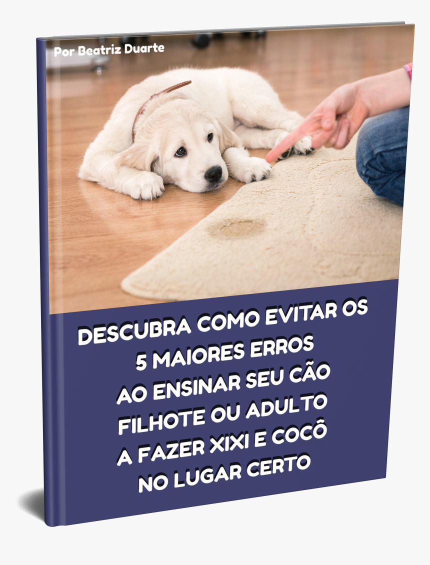 Golden Retriever Behaving Badly, HD Png Download