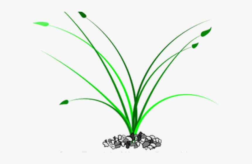 Transparent Stone Clipart, HD Png Download