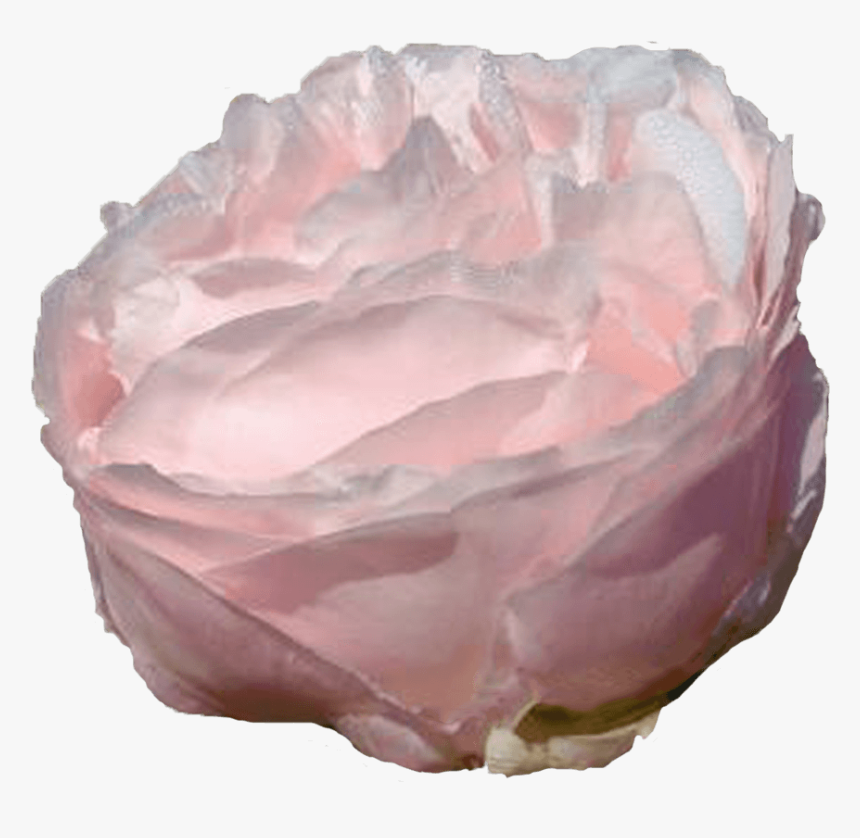 Garden Roses, HD Png Download